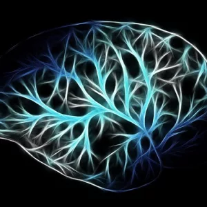 Système nerveux central et autonome (allemand/français)